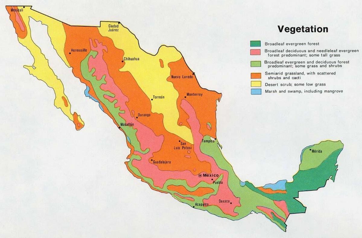 Природные ресурсы мексики