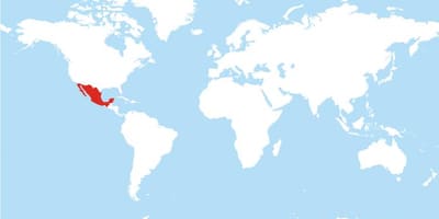 Карта Мексики глобальной